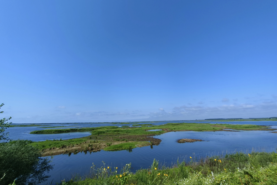 Hongqiling Thousand Bird Lake